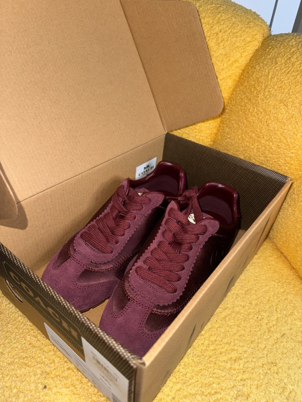 Coach Merlot flat sneaker - Picture 2 of 5